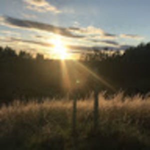 Meet your Posher, Max